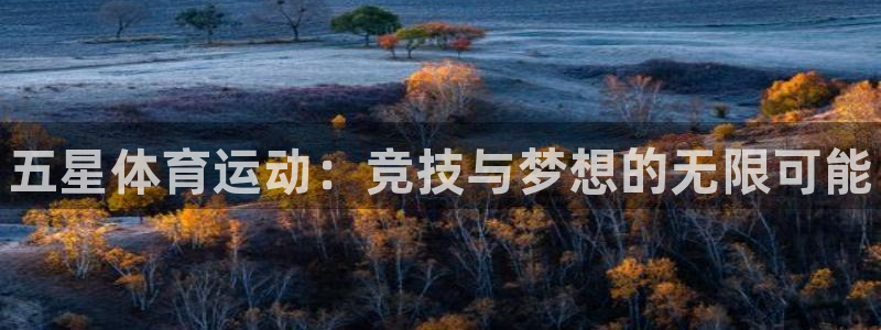 3377体育官方正版app娱乐平台：五星体育运动：竞技与梦想
