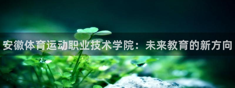 德国3377体育官方正版app集团：安徽体育运动职业技术学院