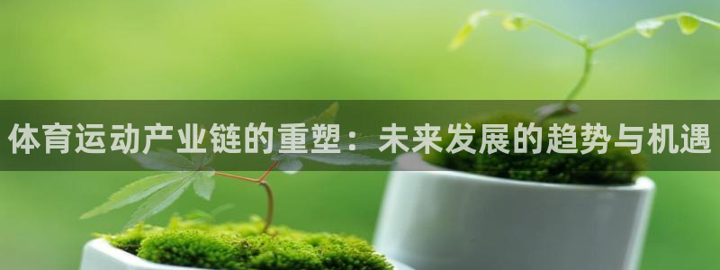 3377体育官网下载平台是正规平台吗安全吗：体育运动产业链的