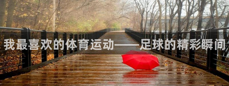 3377体育官方正版app官网：我最喜欢的体育运动—