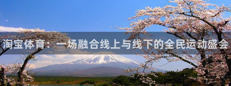 海南3377体育官网下载：淘宝体育：一场融合线上与线