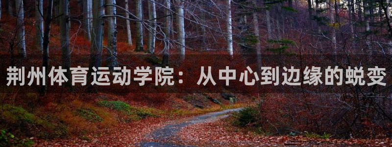3377体育官方正版app娱乐40996：荆州体育运