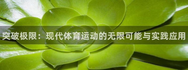 3377体育官网下载招商电话：突破极限：现代体育运动