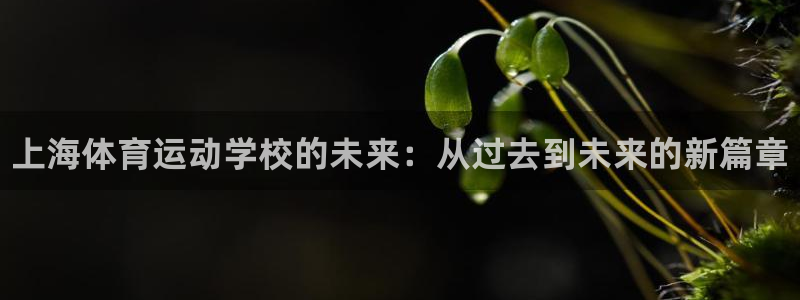3377体育官网下载娱乐：上海体育运动学校的未来：从