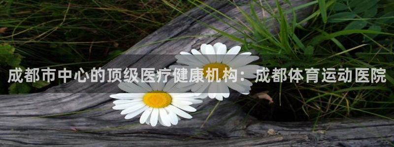 3377体育官网下载招商电话地址查询：成都市中心的顶
