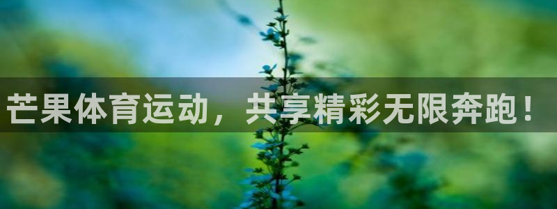 3377体育官方正版app娱乐下载