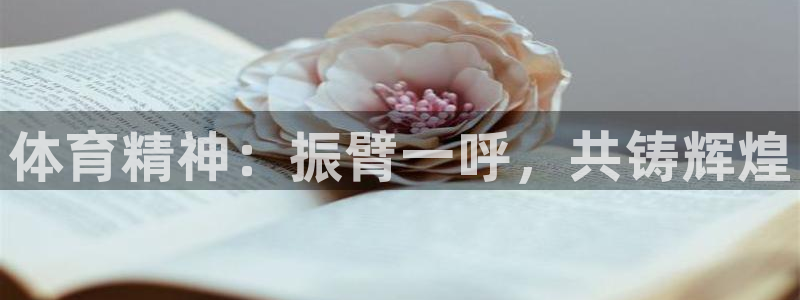 3377体育官网下载开户：体育精神：振臂一呼，共铸辉