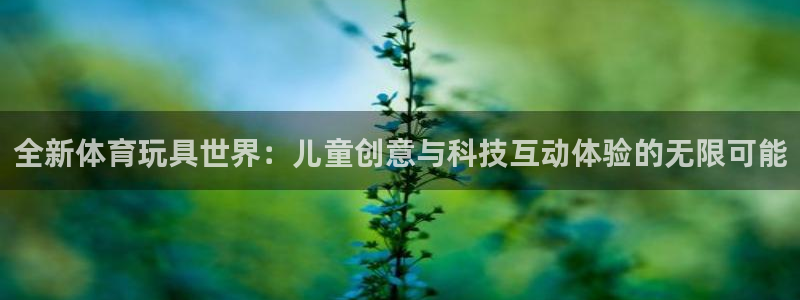 3377体育官网下载平台APP：全新体育玩具世界：儿