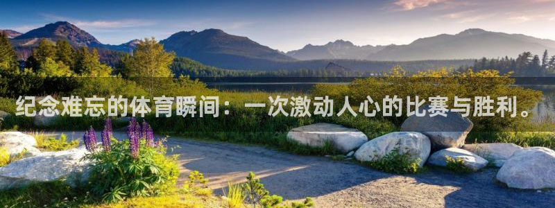 3377体育官方正版app集团官网首页：纪念难忘的体