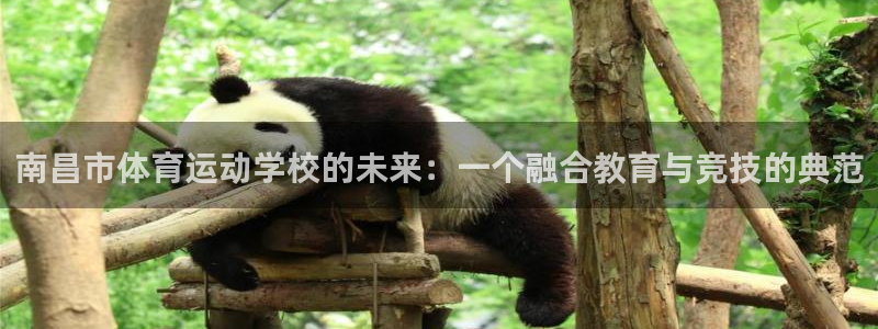 3377体育官方集团官网：南昌市体育运动学校的未来：一个融合
