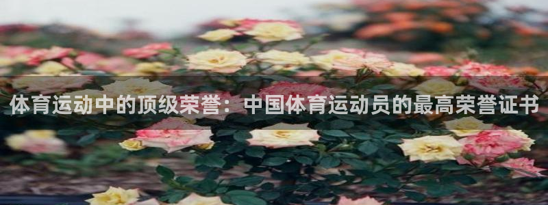 3377体育官方正版app娱乐：体育运动中的顶级荣誉：中国体