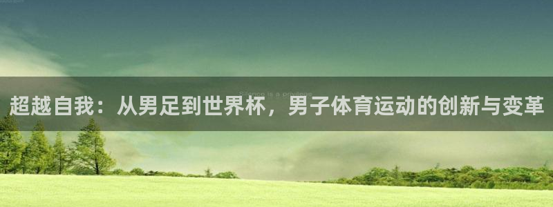 3377体育官方正版app集团官网网址：超越自我：从