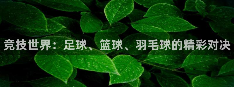 3377体育官网下载平台APP：竞技世界：足球、篮球