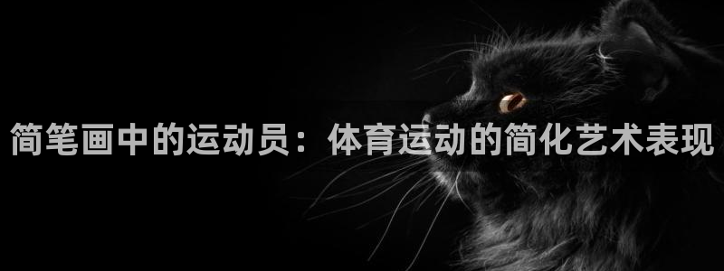 3377体育官方正版app集团logo：简笔画中的运动员：体