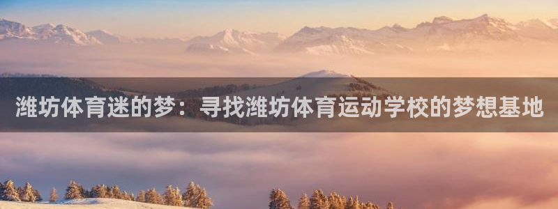 注册3377体育官方正版app：潍坊体育迷的梦：寻找潍坊体育