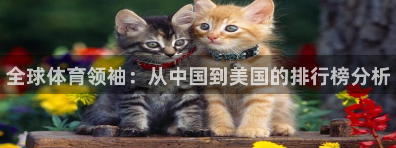 3377体育官网下载平台注册要钱吗：全球体育领袖：从