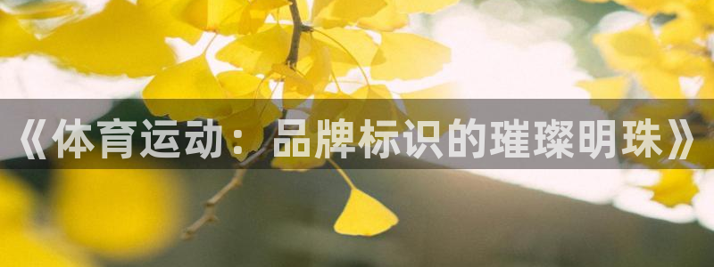 3377体育官网下载招商电话地址是多少：《体育运动：品牌标识