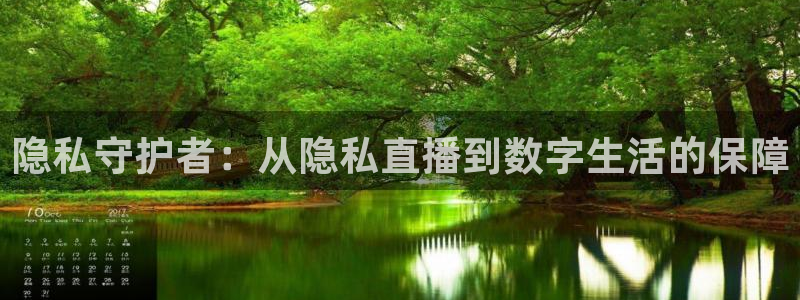 极速体育直播吧在线直播：隐私守护者：从隐私直播到数字生活的保障