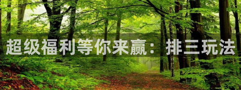 极速体育nba直播吧在线观看：超级福利等你来赢：排三玩法
