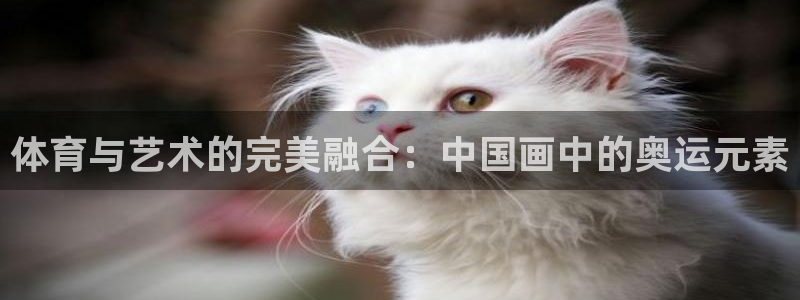 3377体育app官网下载地址：体育