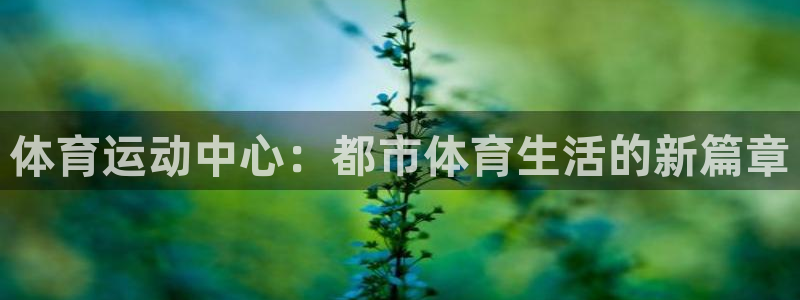 3377体育退款最新政策：体育运动中心：都市体育生活的新篇章