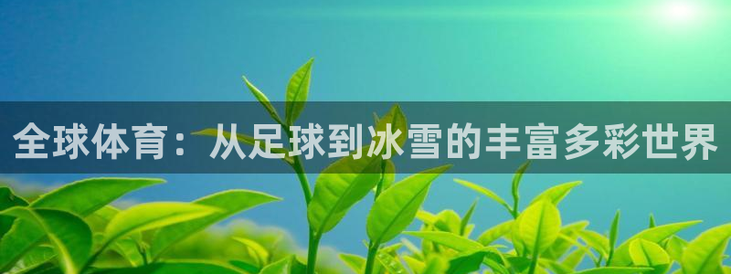 3377体育平台正规吗怎么样：全球体