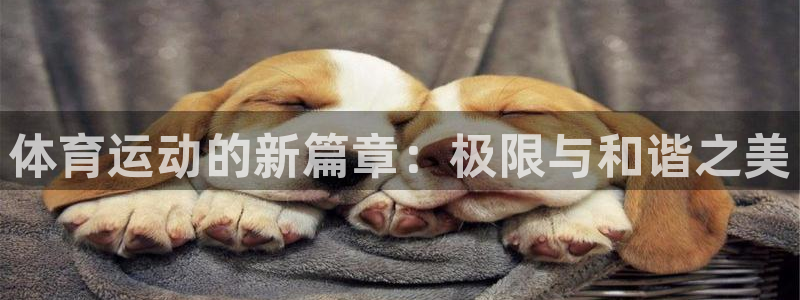 3377体育被国家取消了吗今天：体育运动的新篇章：极限与和谐