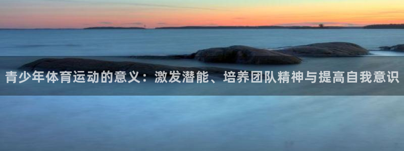 3377体育电子：青少年体育运动的意义：激发潜能、培养团队精