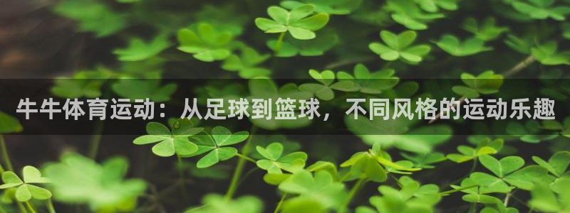 3377体育不出款：牛牛体育运动：从足球到篮球，不同风格的运
