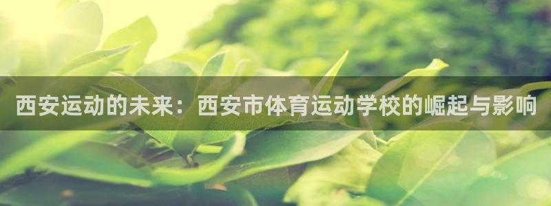 3377体育是正规平台吗：西安运动的未来：西安市体育运动学校