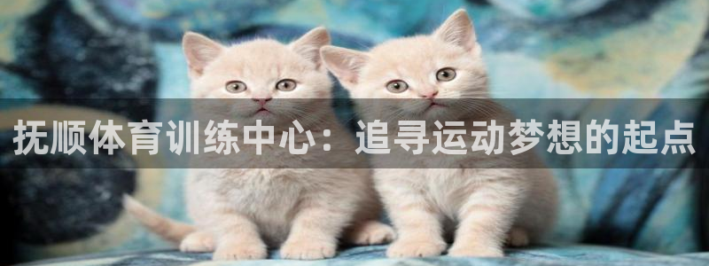  3377体育：抚顺体育训练中心：追寻运动梦想的起点