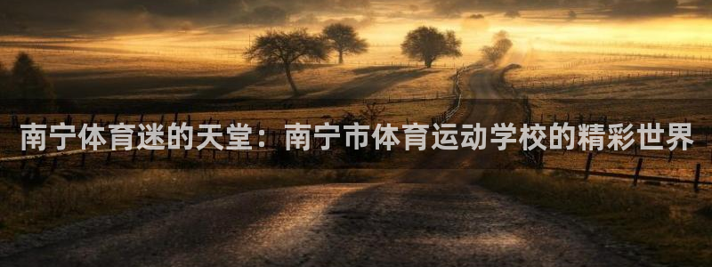  3377体育退款：南宁体育迷的天堂：南宁市体育运动学校的精彩