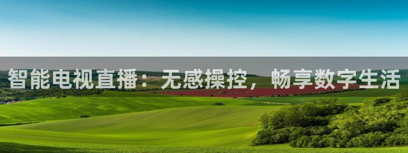nba赛事直播极速：智能电视直播：无感操控，畅享数字生活