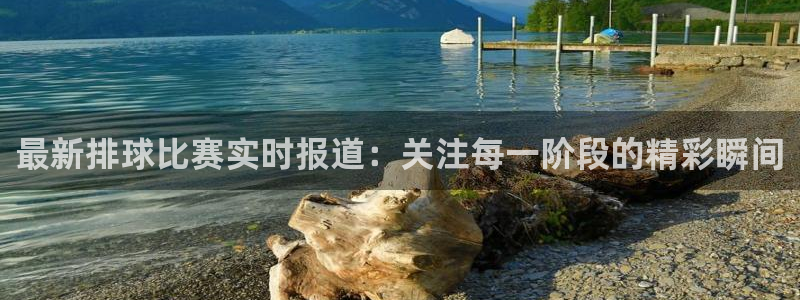 nba极速体育直播：最新排球比赛实时报道：关注每一阶段的精彩瞬间