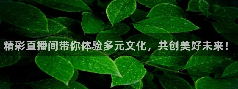 nba极速版直播：精彩直播间带你体验多元文化，共创美好未来！