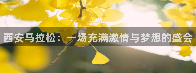 nba极速体育无插件在线观看：西安马拉松：一场充满激情与梦想的盛会