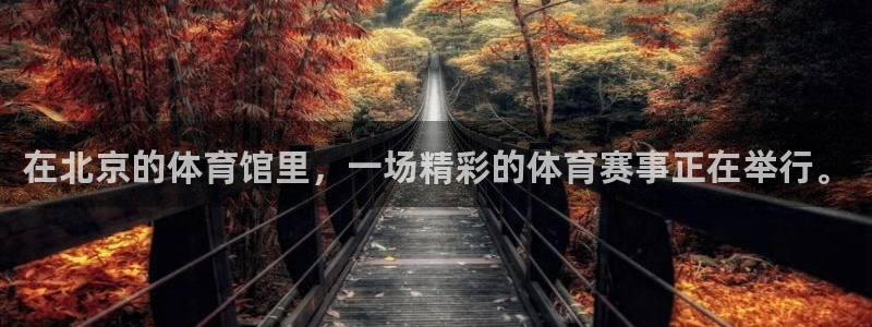 极速体育直播在线播放：在北京的体育馆里，一场精彩的体育赛事正在举行。