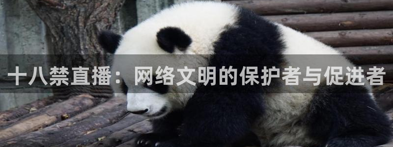 nba直播体育极速：十八禁直播：网络文明的保护者与促进者