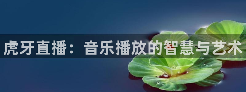 极速体育直播nba直播：虎牙直播：音乐播放的智慧与艺术