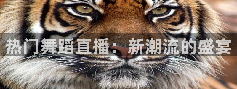 极速体育直播体育：热门舞蹈直播：新潮流的盛宴
