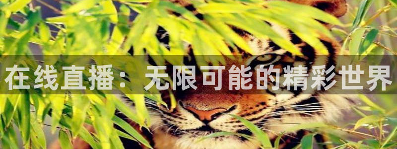 cba直播极速体育：在线直播：无限可能的精彩世界