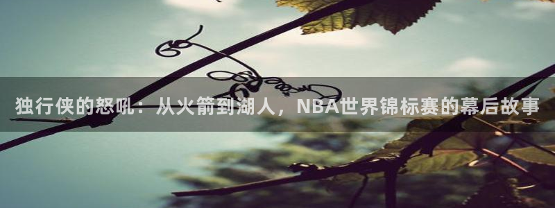 极速体育nba在线直播：独行侠的怒吼：从火箭到湖人，NBA世界锦标赛的幕后故事
